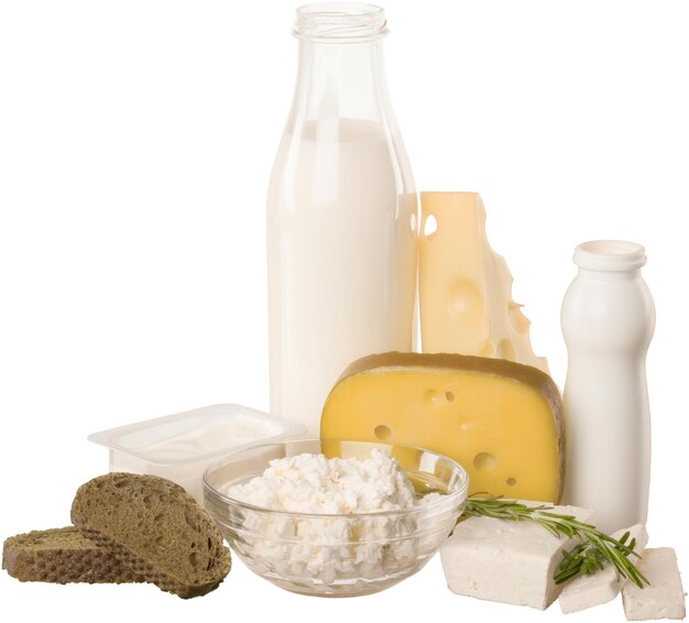 Dairy Ingredients Market: Industry Insights in Dairy Alchemy | DataM ...